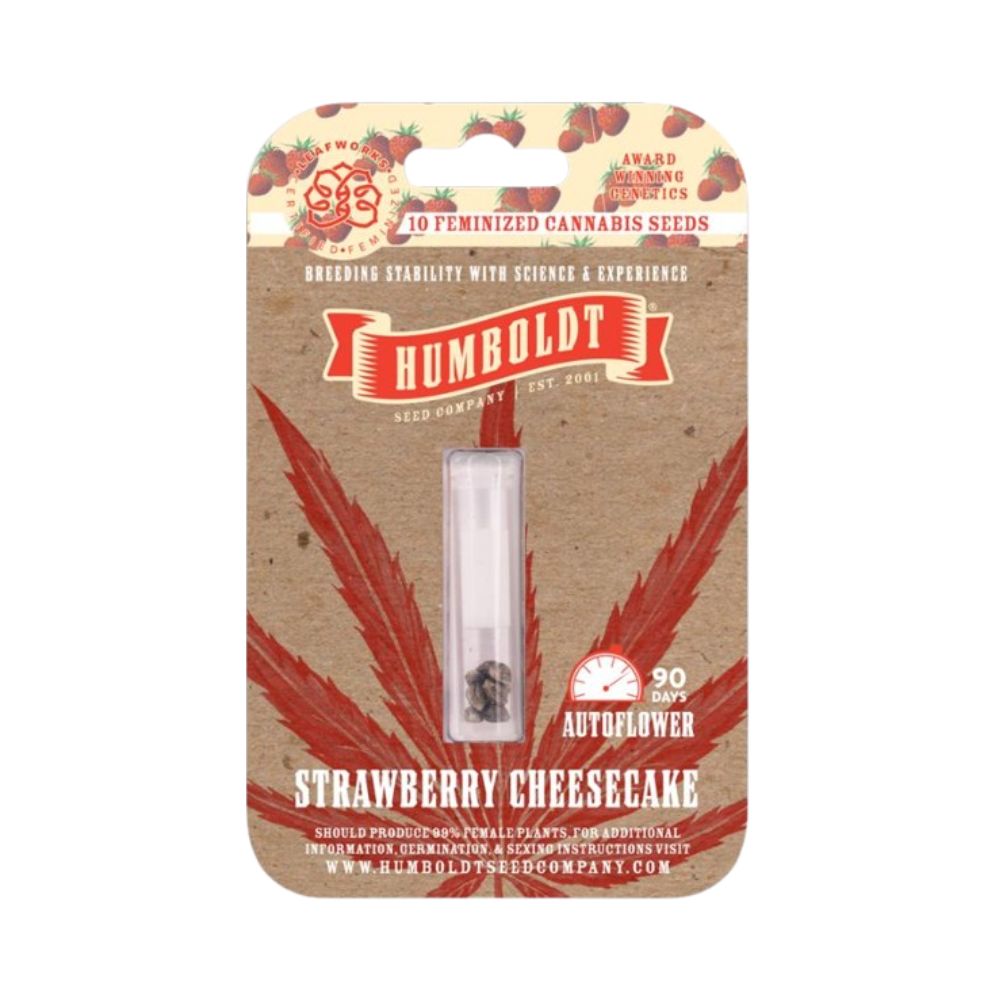 Photograph of product: STRAWBERRY CHEESECAKE SEEDS 10-PACK (FEMINIZED AUTOFLOWER)