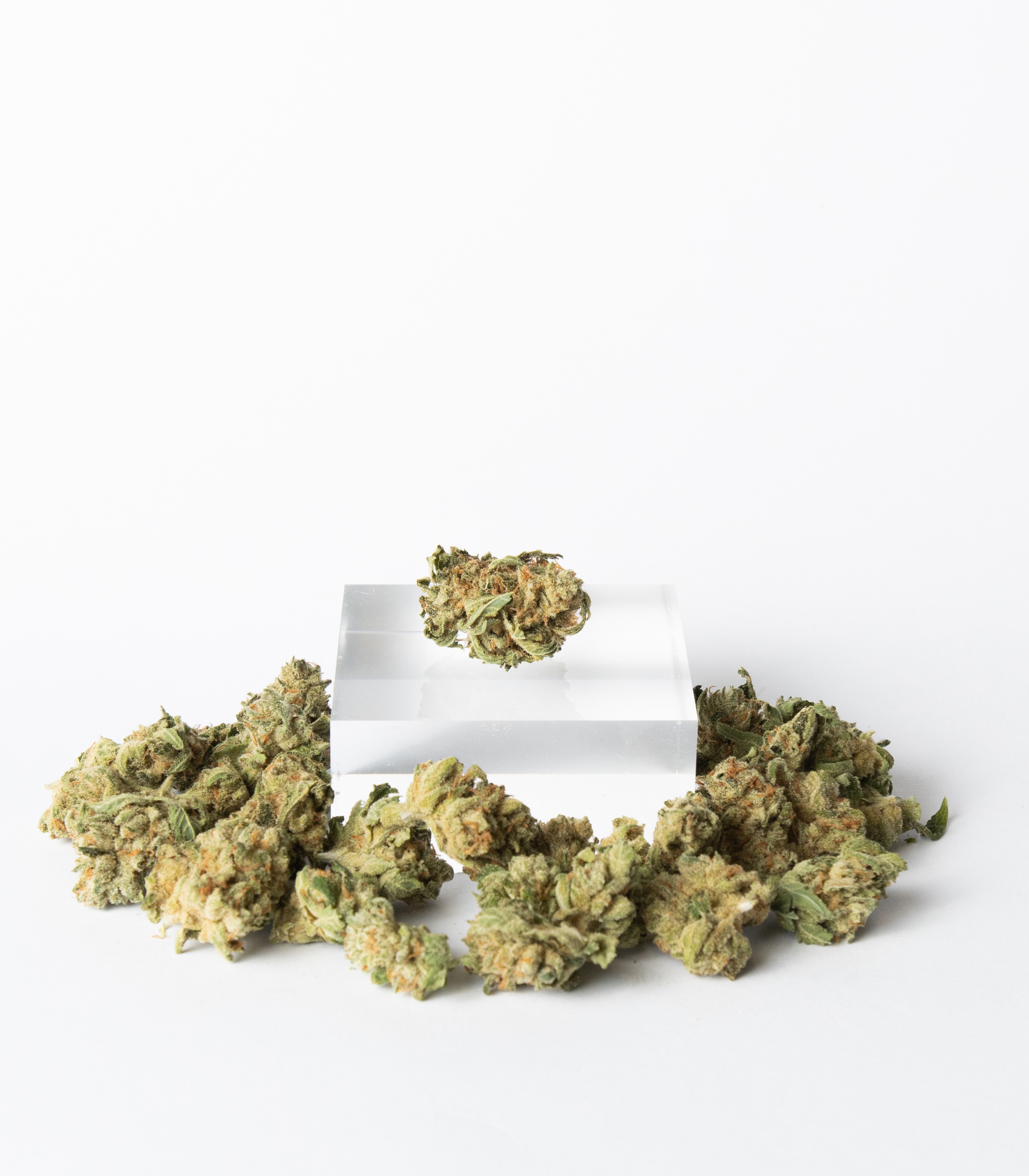 Photograph of product: Etain | Dobos Triangle | 14g Flower