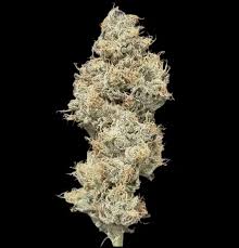 Photograph of product: Tahiti Twist - Hybrid - 3.5g