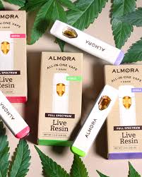 Photograph of product: AIO LR ALIEN OG