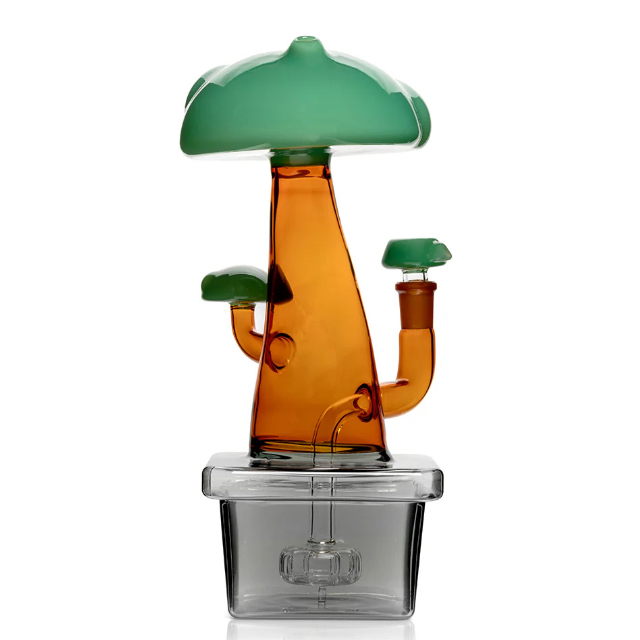 Photograph of product: BONG | XL BONSAI