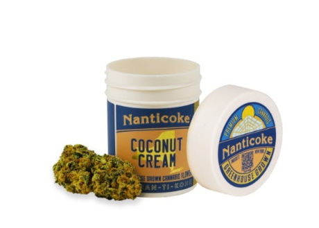 Photograph of product: Nanticoke | Coconut Cream | Oui'd Hybrid | Flower | 3.5g
