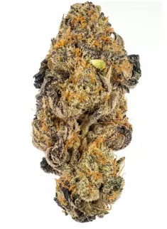 Photograph of product: Jasper | GMO Sherbert 3.5g
