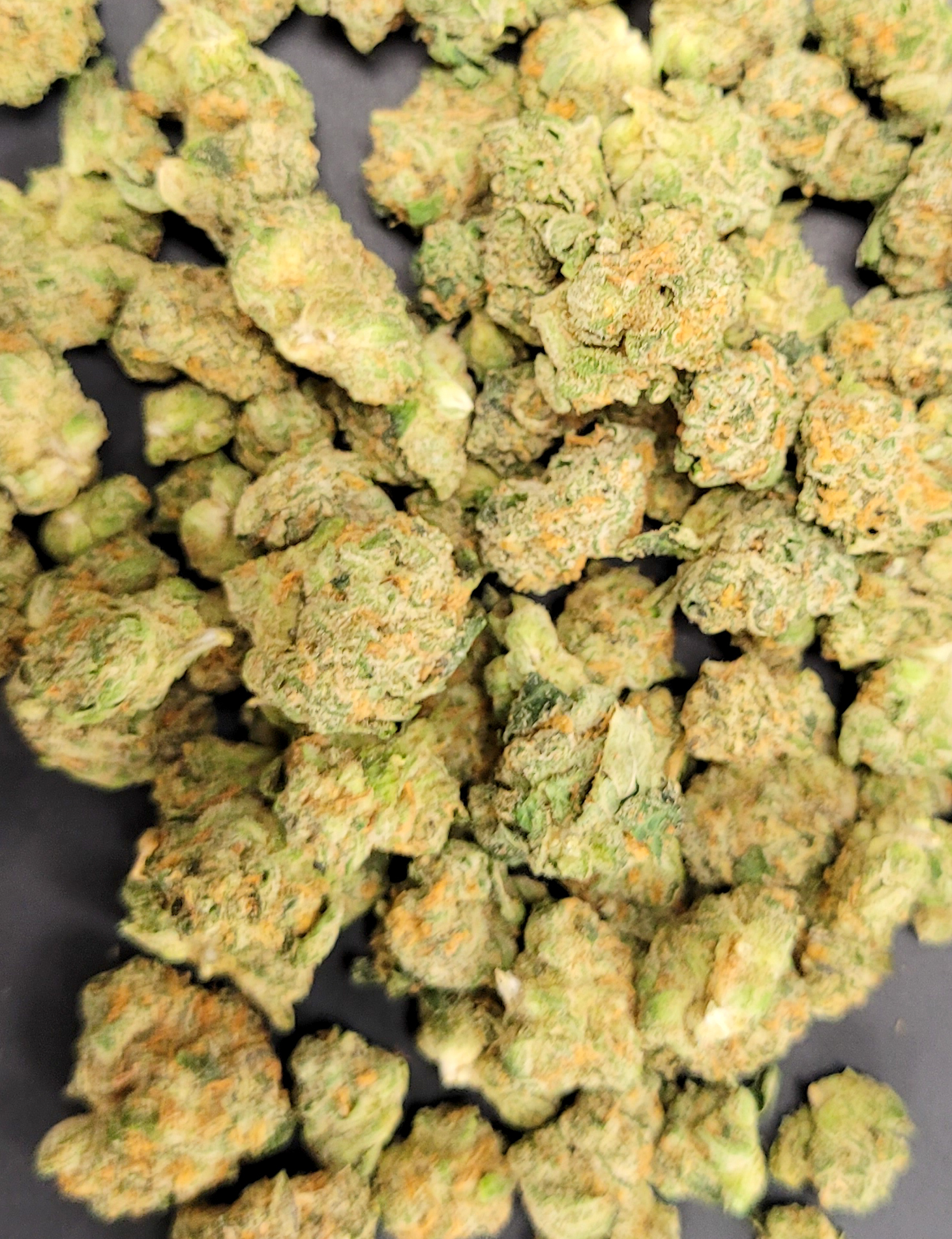 Photograph of product: Popcorn Shelf - Punch Breath (H) - 28g