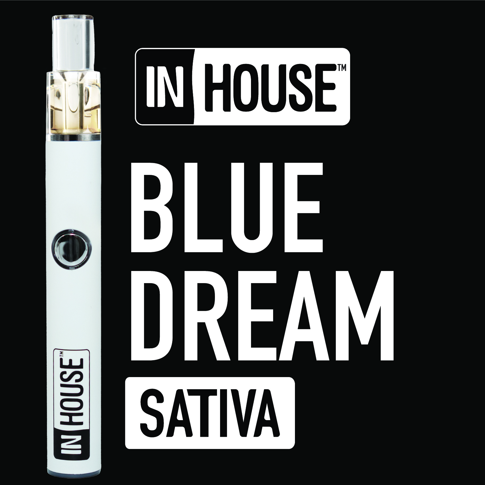 Photograph of product: In House Blue Dream 1g Disp Vape