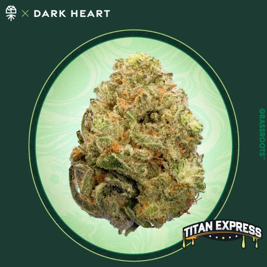 Photograph of product: Dark Heart Titan Express | 3.5g