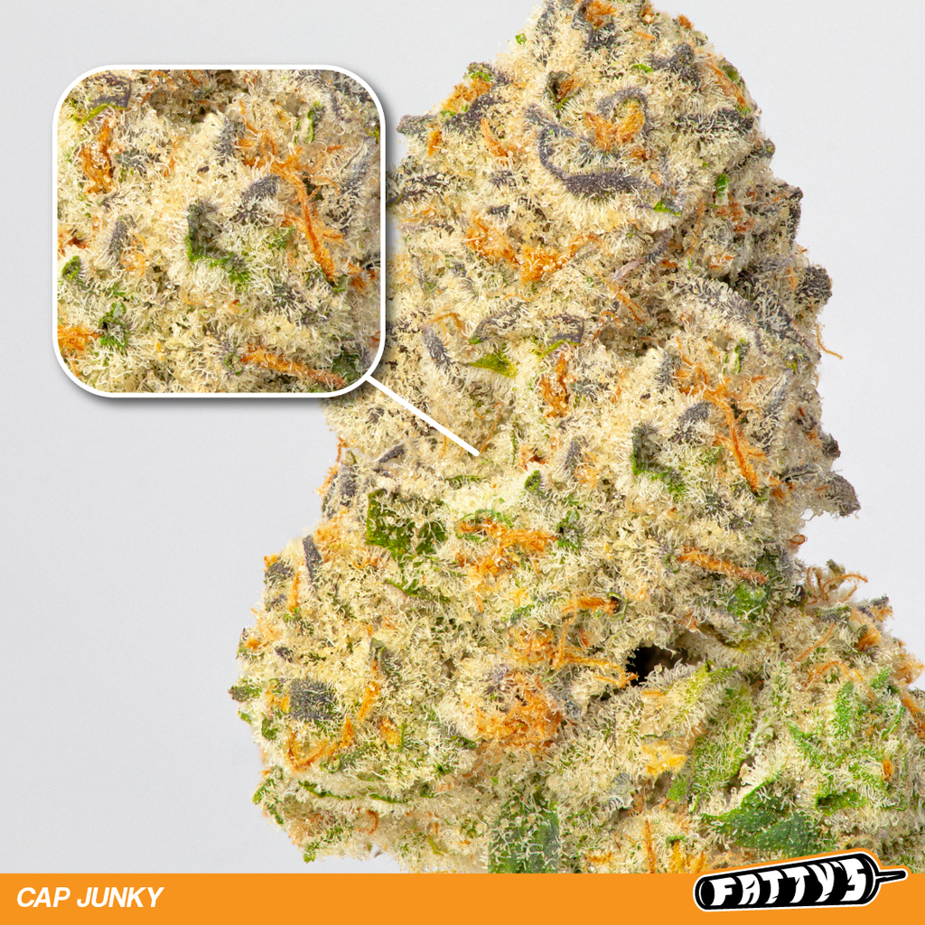 Photograph of product: Fatty's | Cap Junky - 28g