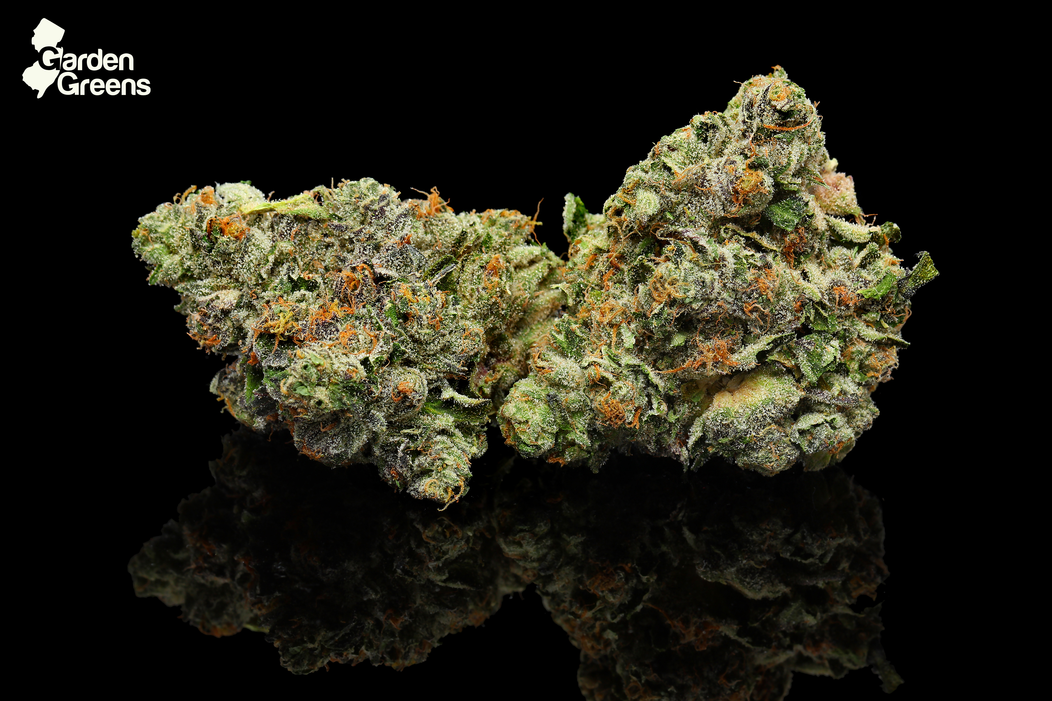 Photograph of product: Garden Greens | Sunset Sherbert | Pre Rolls | 5pk/2.5g