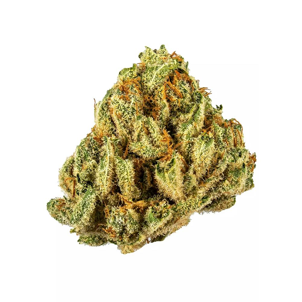 Photograph of product: French Toast (Good Day Farm) - 7g - Flower