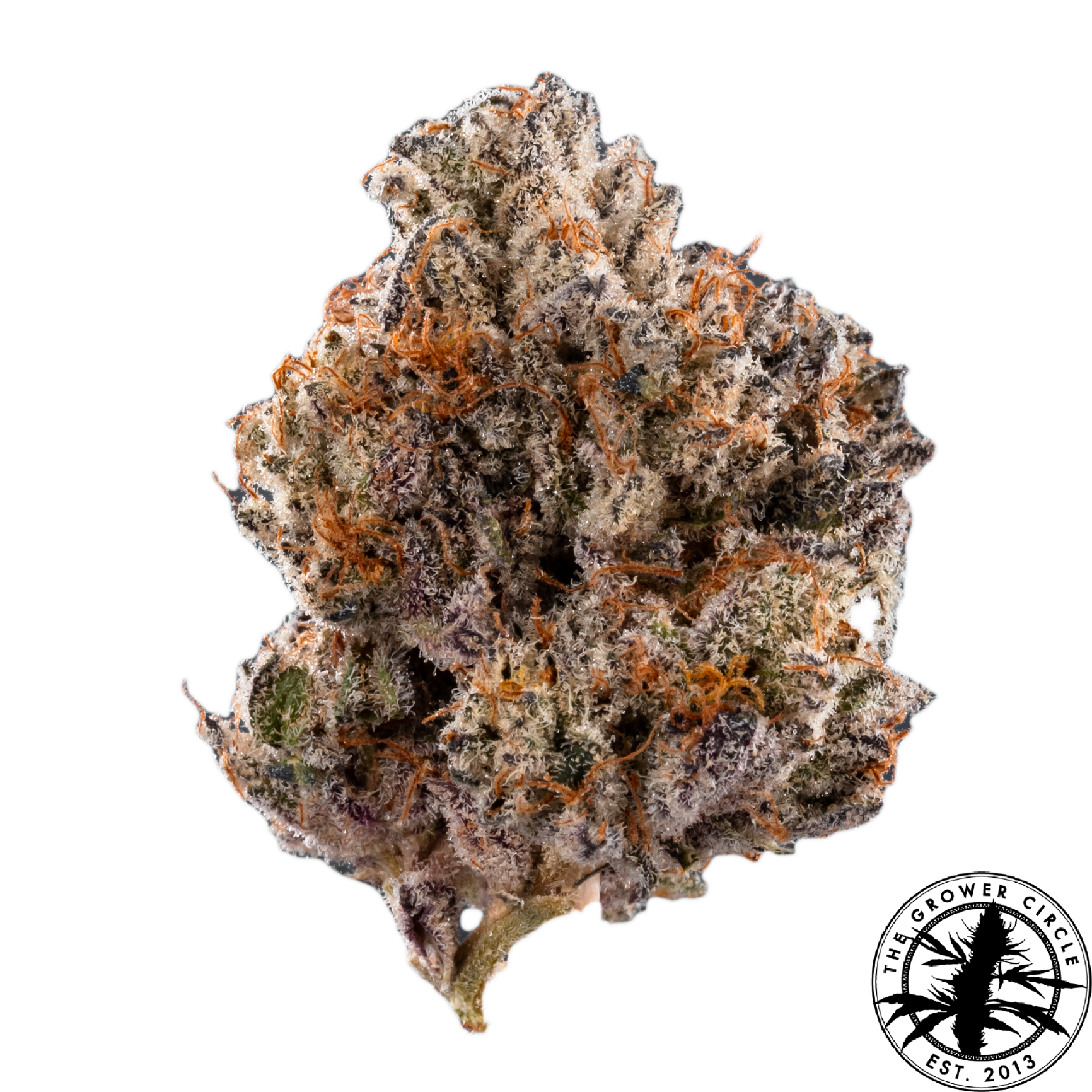 Photograph of product: Grower Circle Flower Blood Orange 3.5g