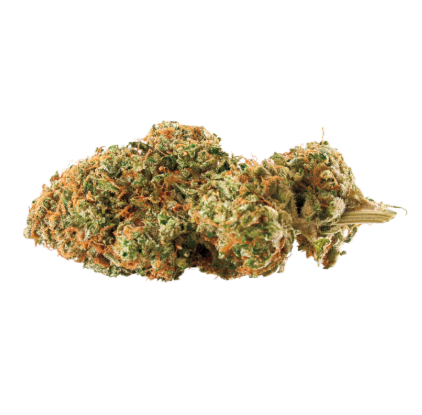Photograph of product: RYTHM - DURBAN Z (3.5G) (SH)