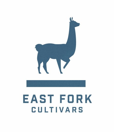 Photograph of product: East Fork - Pineapple Kush - CBD Preroll