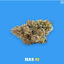Photograph of product: Buoyant Bob | Black Ice 3.5g