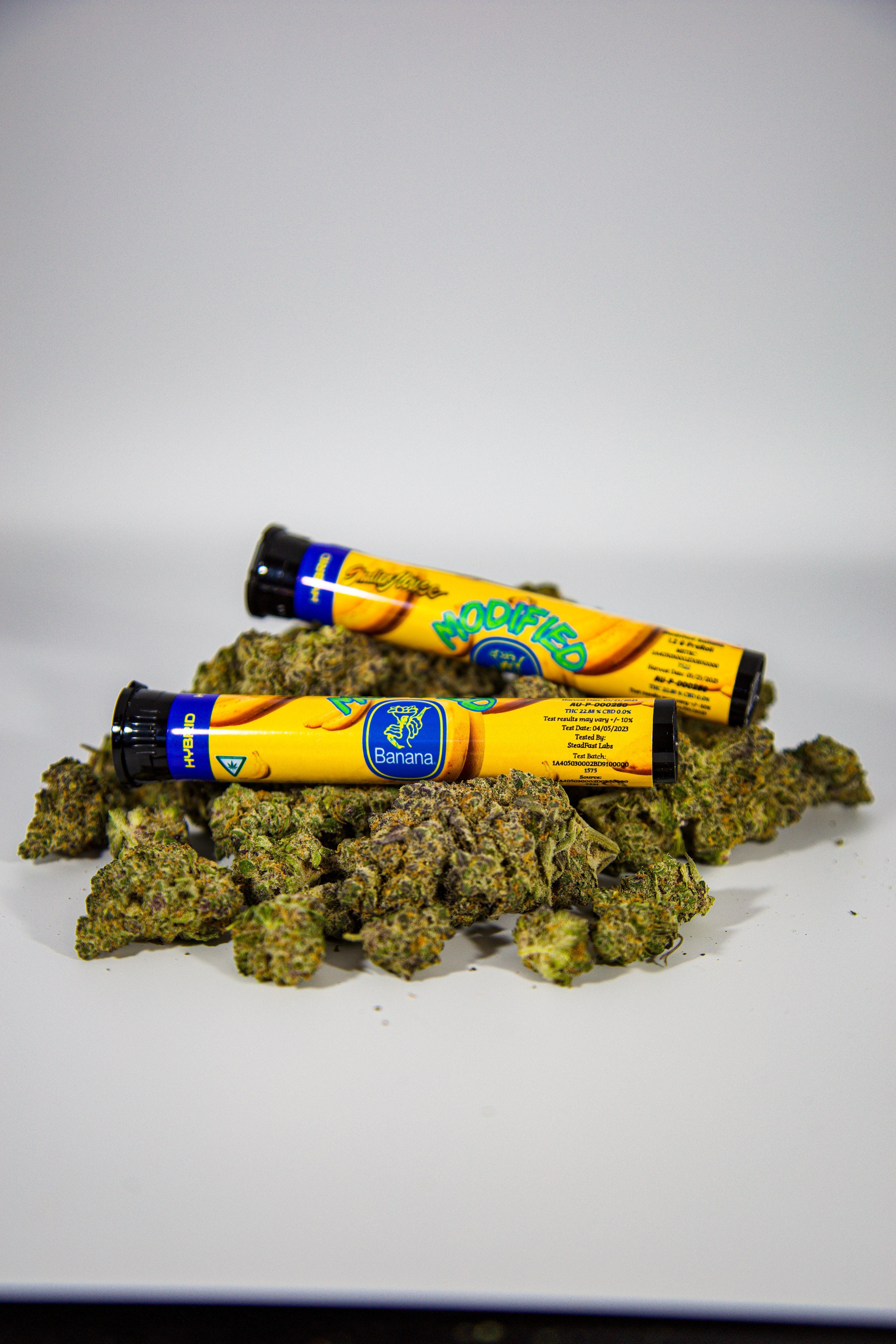 Photograph of product: MOD Banana 1.2G Pre-Rolls - SHATTER HOUSE