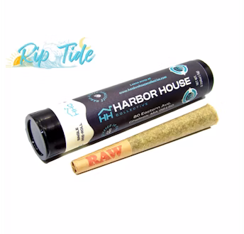 Photograph of product: Fried Dough | 0.5g  Pre-Roll