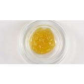 Photograph of Product: MTX 500mg Nepalese Kush LS