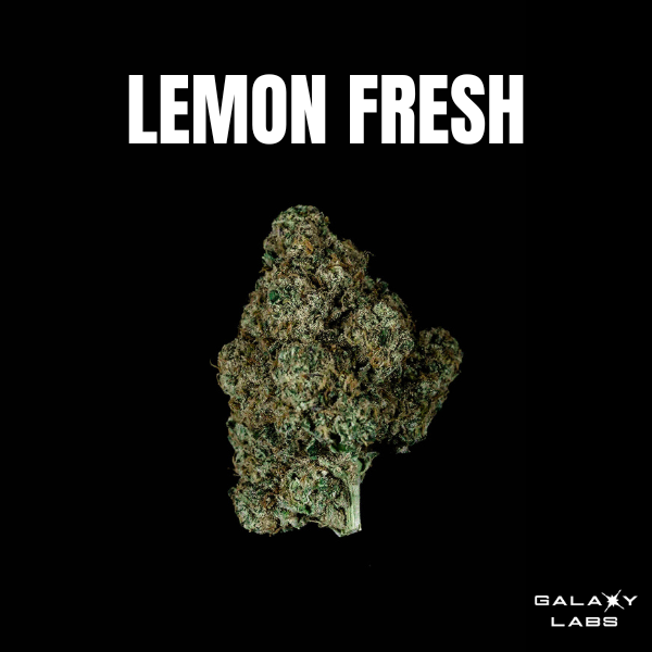 Photograph of product: LEMON FRESH 3.5G FLOWER