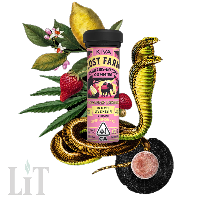 Photograph of product: STRAWBERRY LEMONADE - 100MG GUMMIES