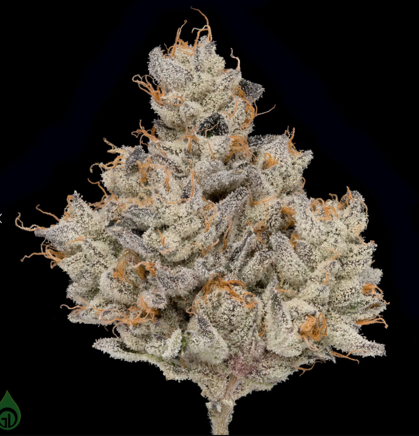 Photograph of product: Green Dot - Pre-Packed - Otoro (H) - 3.5g