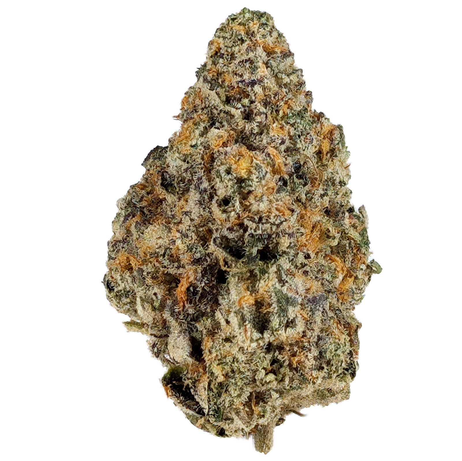 Photograph of product: GEORGIA HAZE - BULK FLOWER - 1g