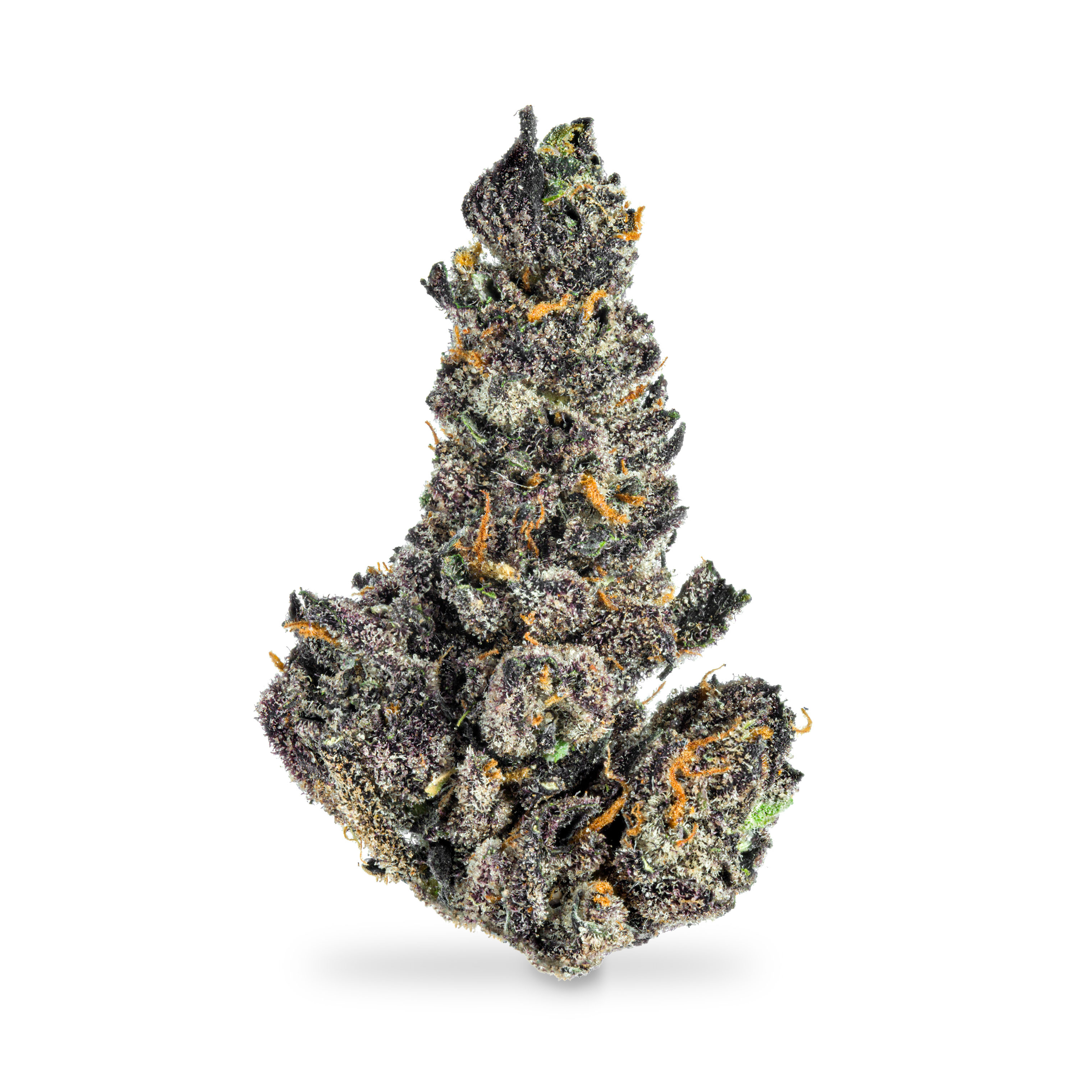 Photograph of product: Gelato 41 - 3.5g