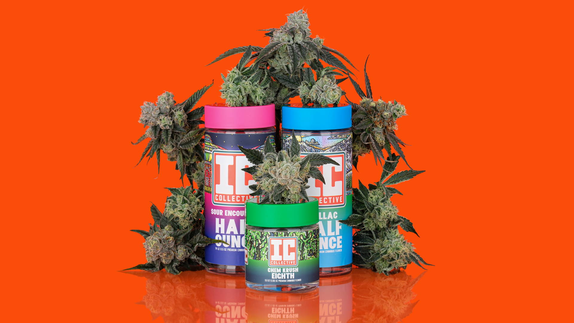 Photograph of product: IC Collective - Violet Chems - 14g