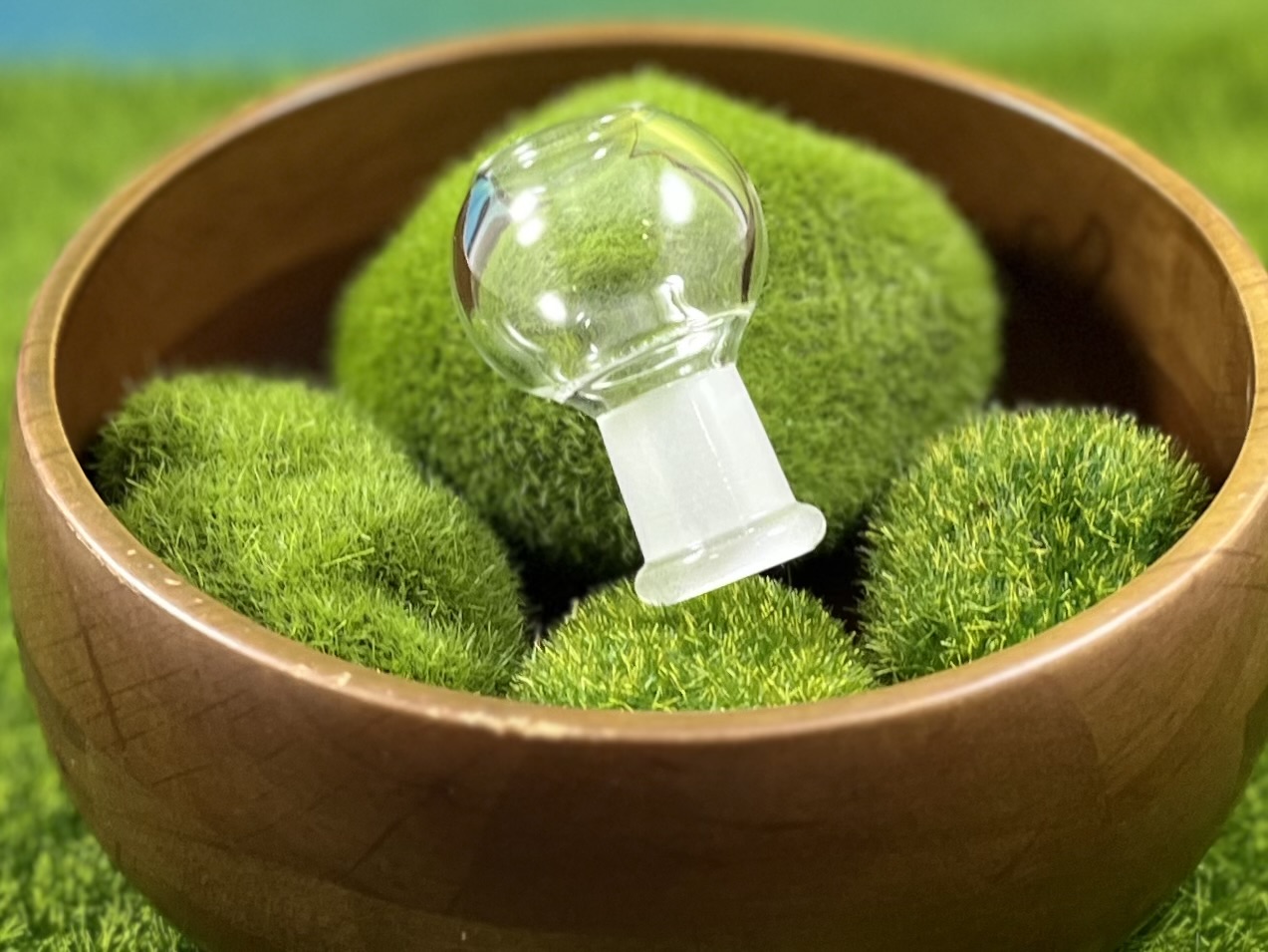 Photograph of product: Glass Dome