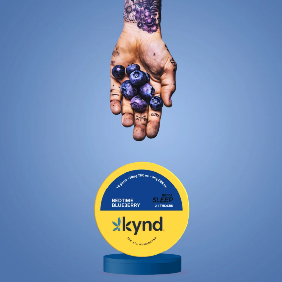Photograph of product: Bedtime Blueberry Gummies - 5MG 20PK (TAX INCLUDED)