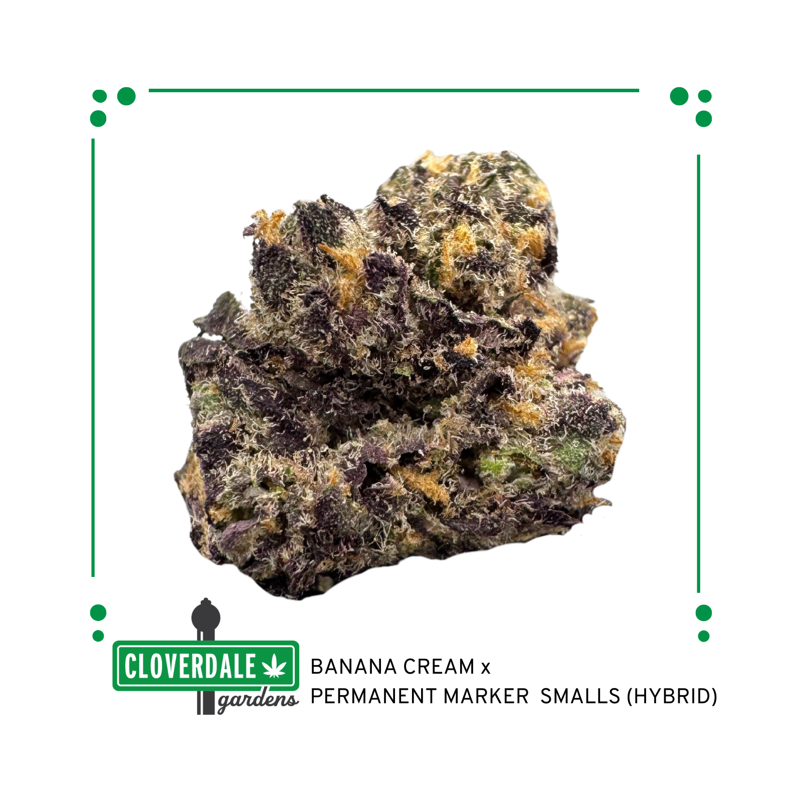 Photograph of product: CG | Banana Cream Cake x Permanent Marker | 1G Pre-Roll