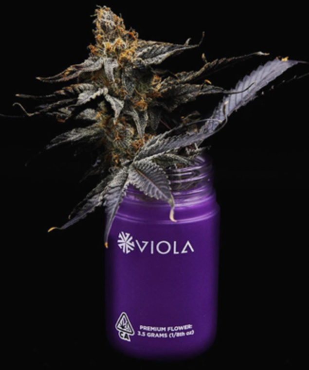 Photograph of product: Concord Cream - Buds - 28g