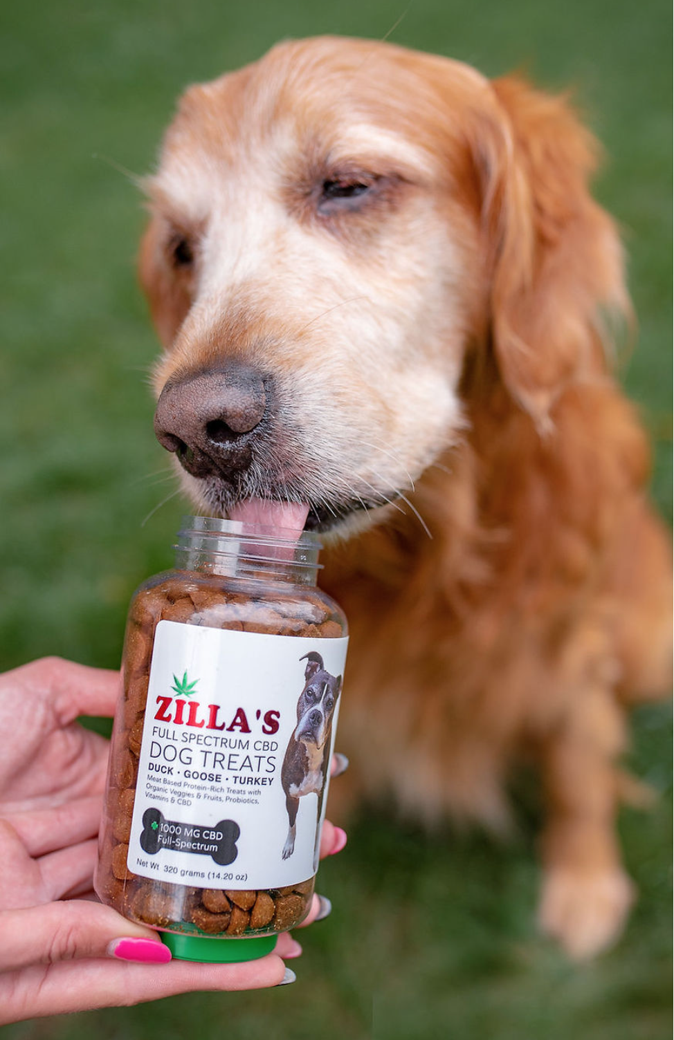 Photograph of product: DUCK GOOSE TURKEY | CBD DOG TREATS BIG