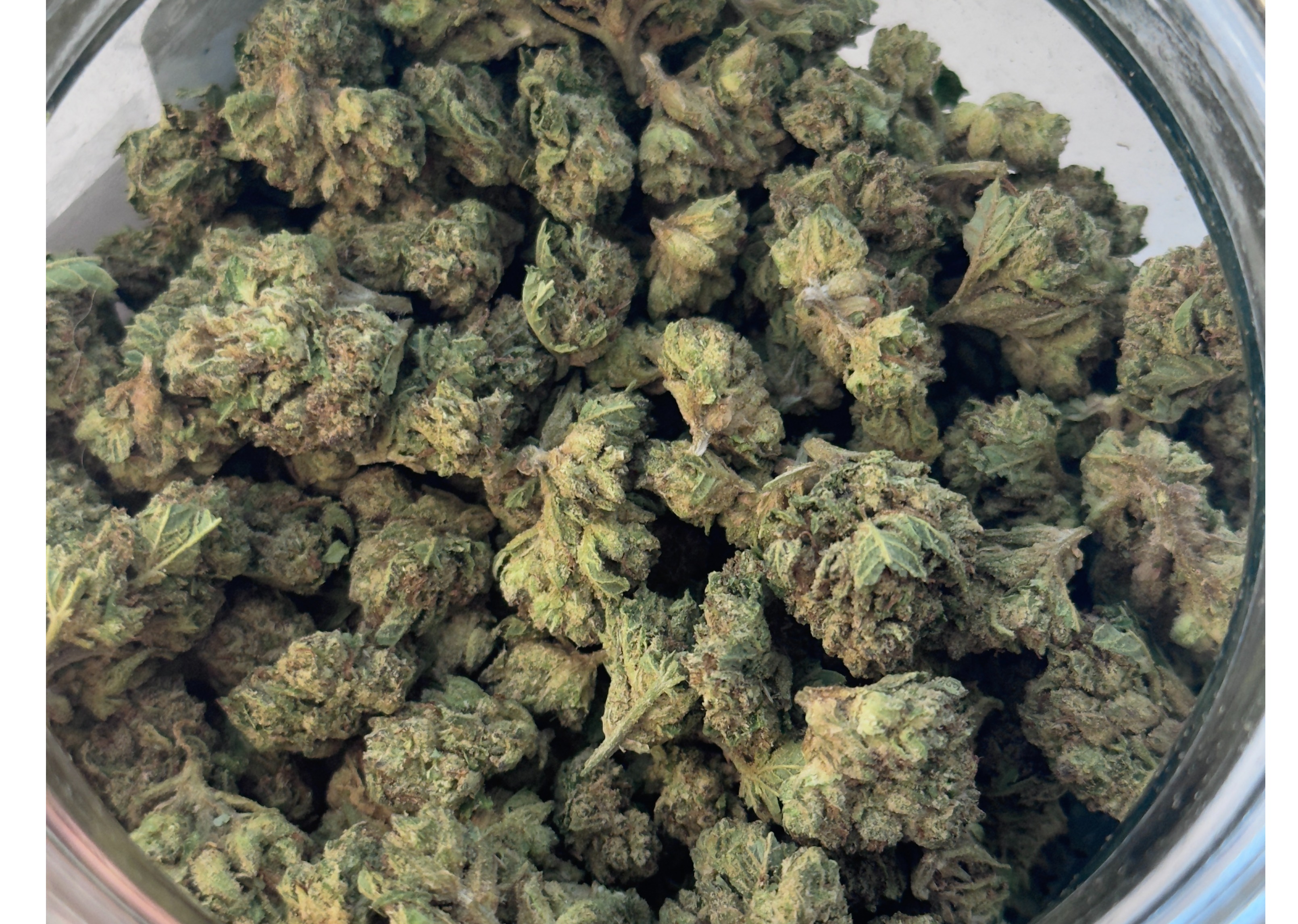 Photograph of product: Grape Waves - 28g