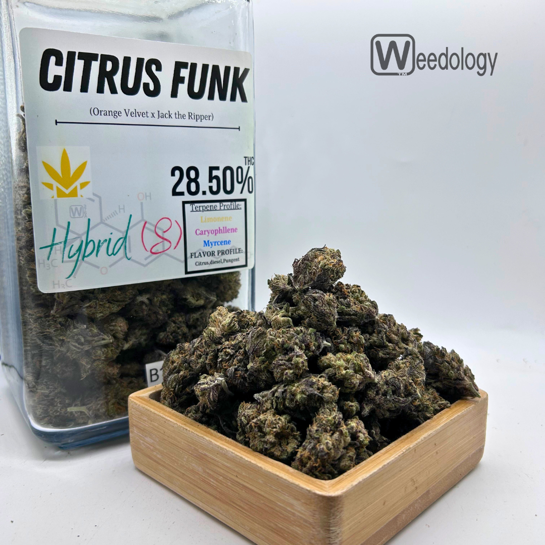 Photograph of product: Citrus Funk (S-H). - 28g
