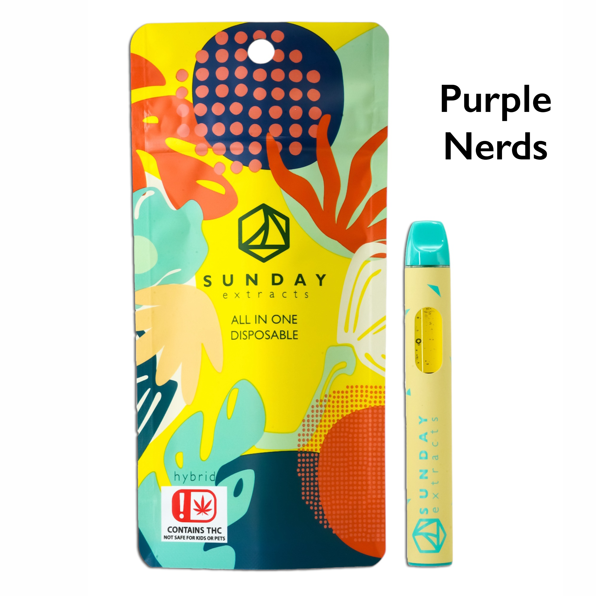 Photograph of product: VAPE SE PURPLE NERDS (H) ALL-IN-ONE