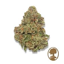 Photograph of product: Osage Creek Scott's OG 7g Oui'd Hybrid Flower