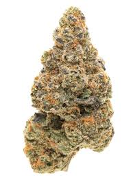 Photograph of product: LJA | Tropicana Cherry | Bulk Flower - 28g