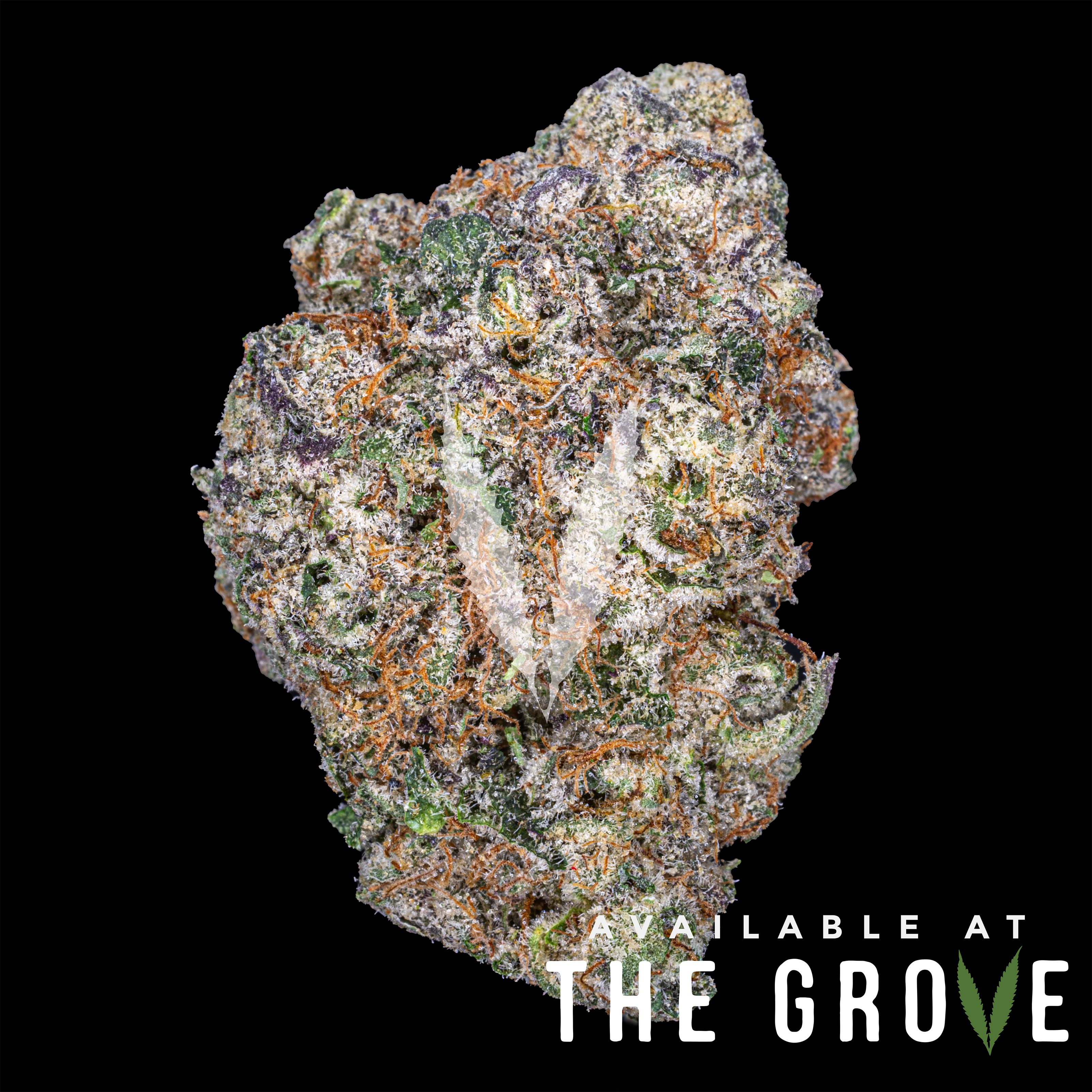 Photograph of product: LAX Packs | Biscotti 41 1g Flower