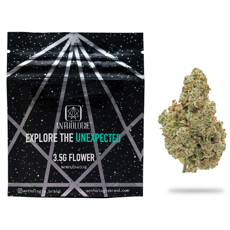 Photograph of product: Anthologie | Flower | Mac n Jack | 3.5g