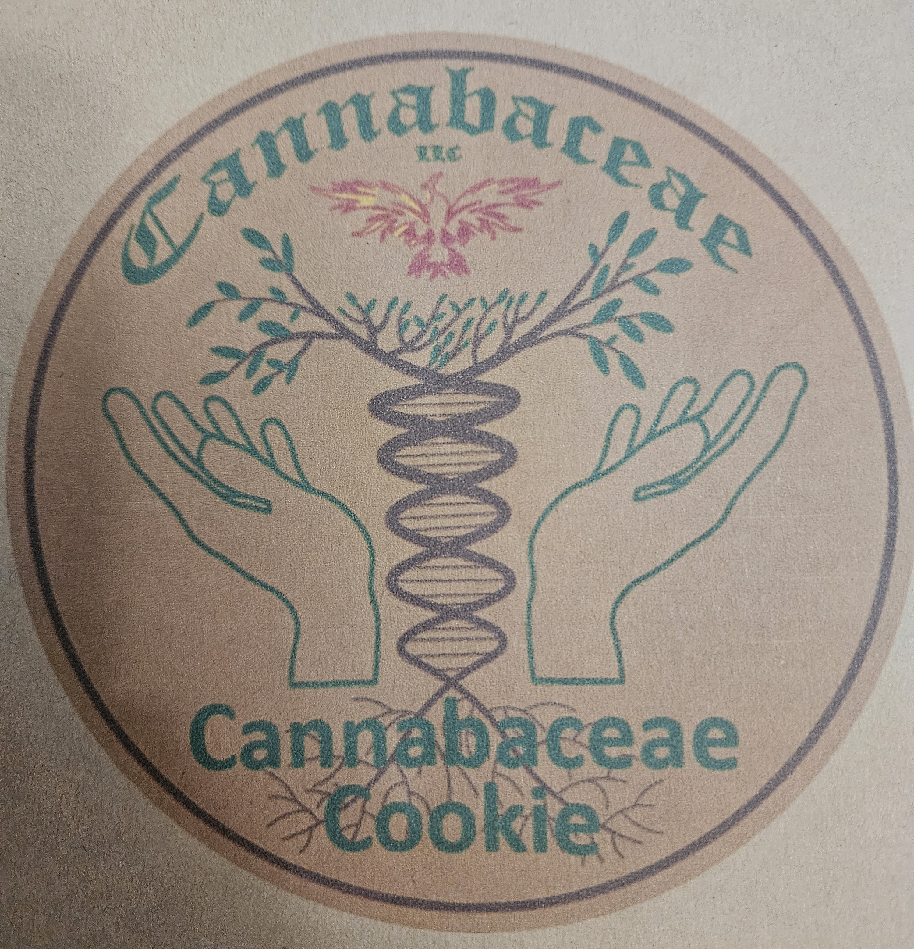 Photograph of product: Cannabaceae I Flower I Cannabaceae Cookie - 3.5g