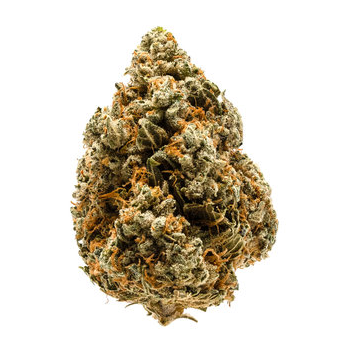 Photograph of product: SIX LABS | INFUSED DELI FLOWER | SUPER STARFRUIT | $8/G - 28g