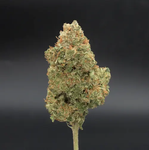 Photograph of product: Bruce Banner (OG Kush x Strawberry Diesel) 7g