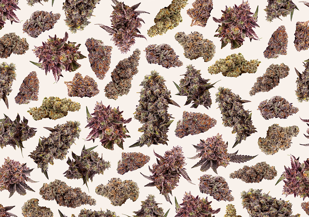 Photograph of product: Pleasantrees | Deli-Style Bulk Buds | Yin Yang - 14g