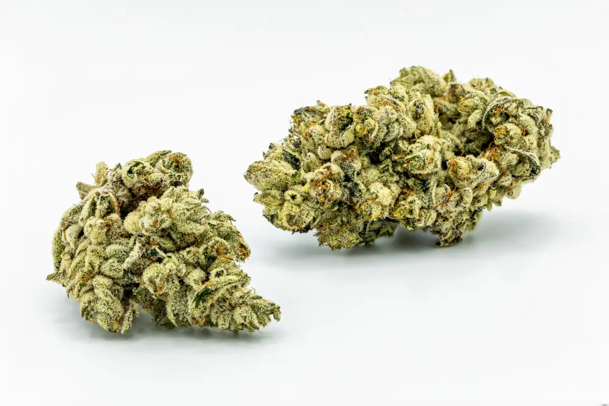 Photograph of product: Pave-Flower|Oui'd-Dominant|CC - 3.5g