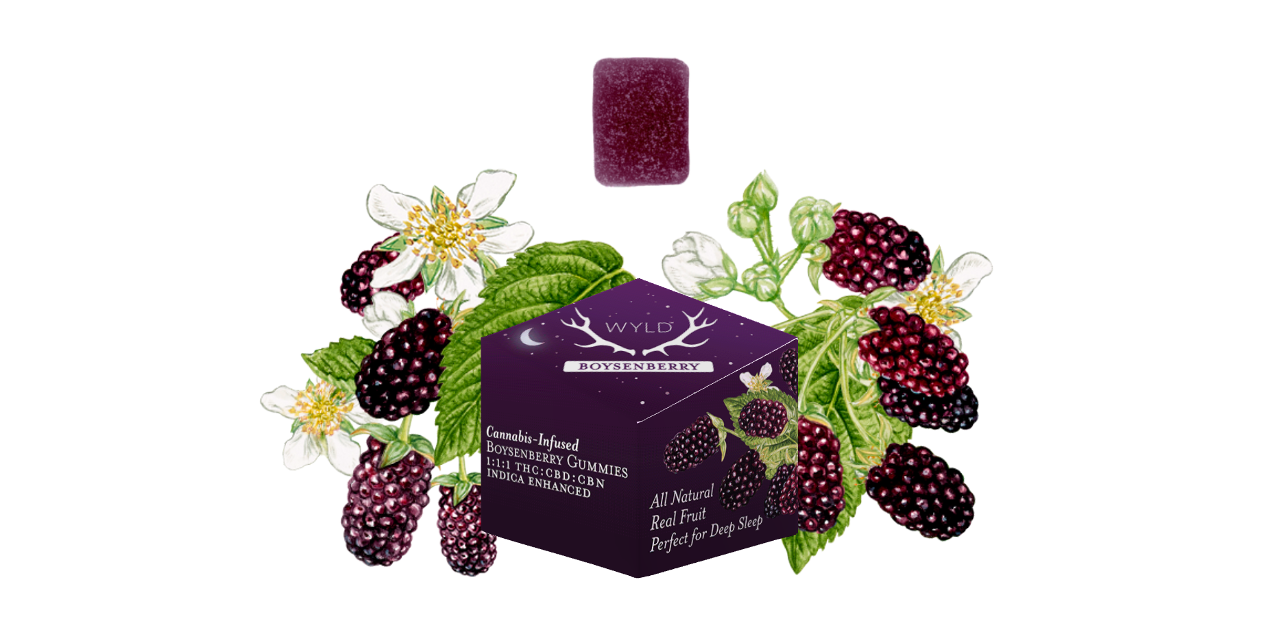 Photograph of product: Wyld - Gummies 1:1:1 - Boysenberry (I) (100mg TH-oui/CBD/CBN)