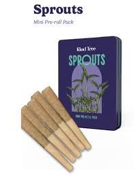 Photograph of product: Kind Tree INFUSED Chunky Monkey 5pk/1.75g Multipack Pre-Rolls