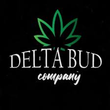 Photograph of product: Delta Bud | 3.5g | Silver Skunk