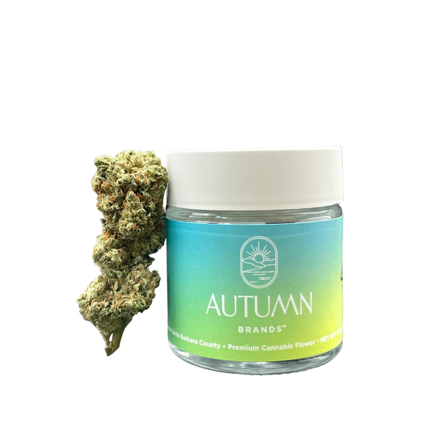 Photograph of product: Autumn Brands 3.5g Mango Haze