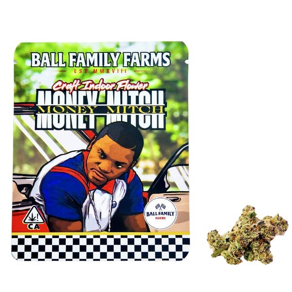 Photograph of product: Money Mitch 4g - 