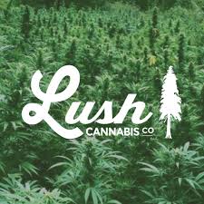 Photograph of product: Lush SuperBoof Preroll 1g