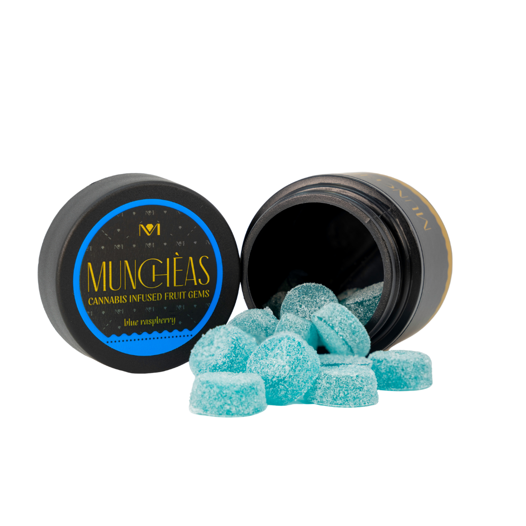 Photograph of product: Blueberry | Infused Gummies | 20pk